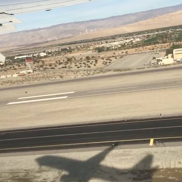 Meet your Posher, Rodney - Picture 1 of 1